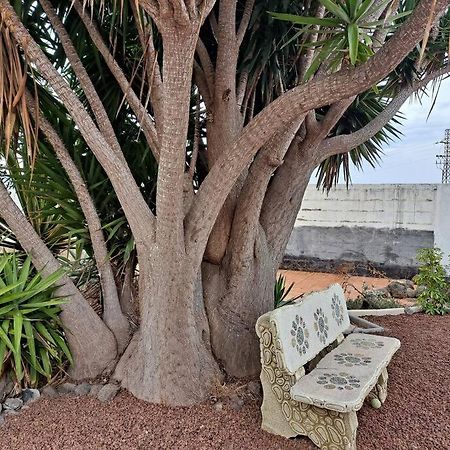 Tenerife Apartment Dulcynea With Terrace And Garden 600M2 With Ocean And Teide View Икод де лос Винос Екстериор снимка