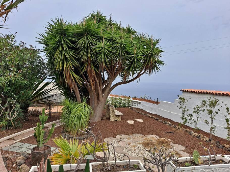Tenerife Apartment Dulcynea With Terrace And Garden 600M2 With Ocean And Teide View Икод де лос Винос Екстериор снимка