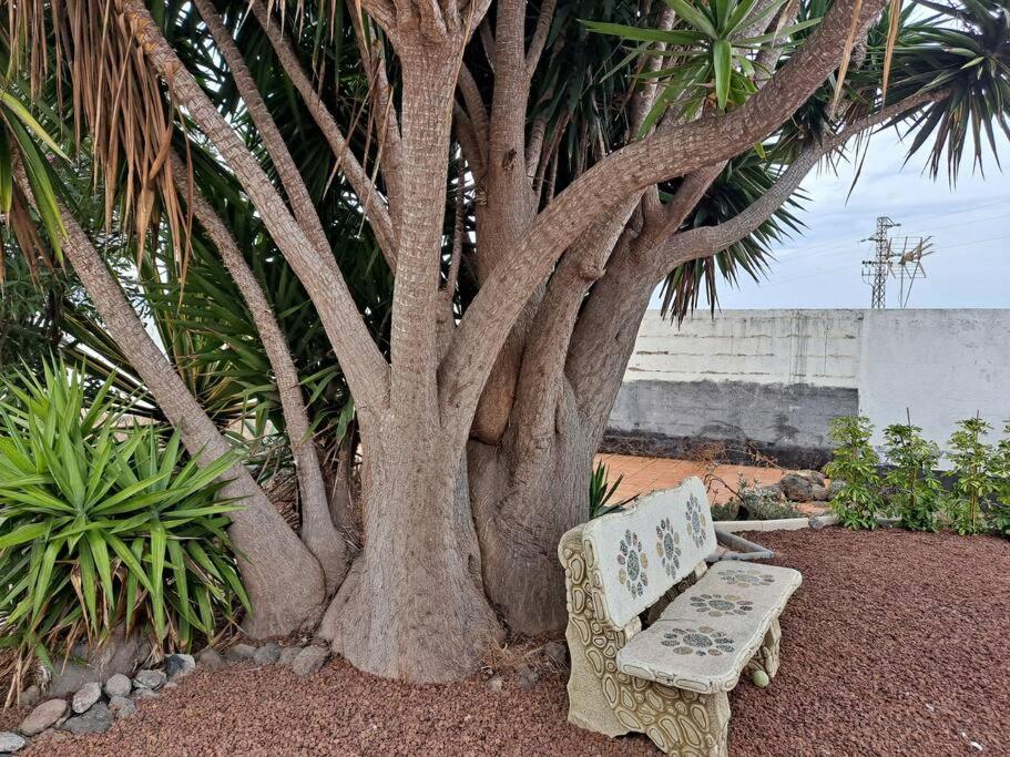 Tenerife Apartment Dulcynea With Terrace And Garden 600M2 With Ocean And Teide View Икод де лос Винос Екстериор снимка