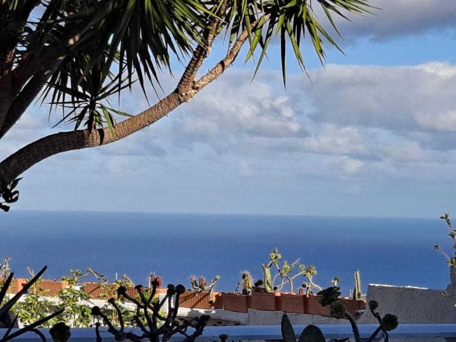 Tenerife Apartment Dulcynea With Terrace And Garden 600M2 With Ocean And Teide View Икод де лос Винос Екстериор снимка
